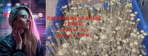 а пвп мука Кулебаки