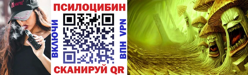 Купить где  Алдан  Псилоцибиновые грибы GOLDEN TEACHER 